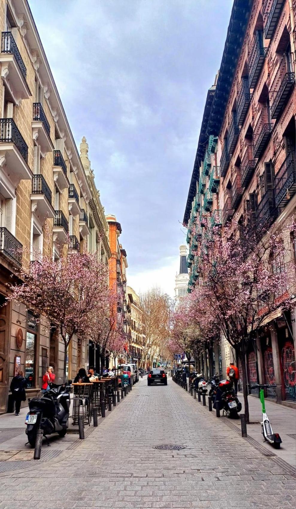 Artistic Affittacamere Madrid